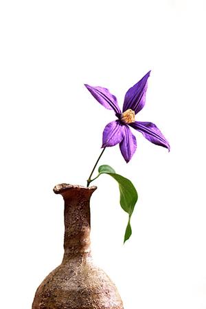 タカラスタンダード新宿ショールームの魅力と便利な施設情報