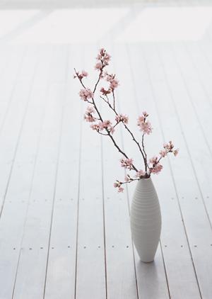 あかりで最高のおもてなしをお手伝い